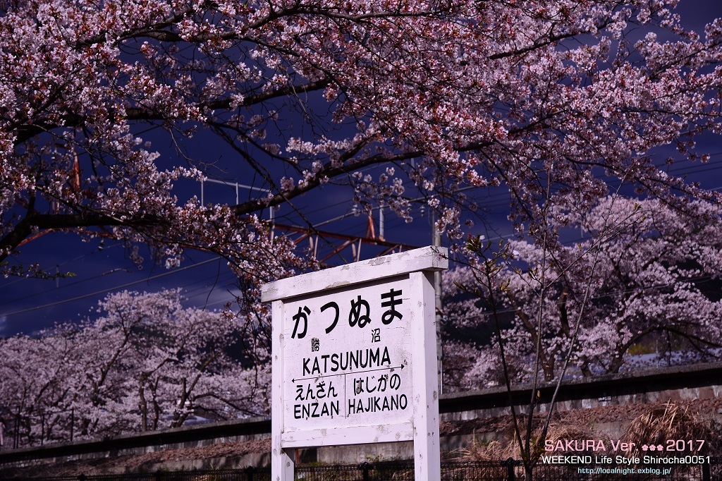 桜Ver.2017　甲州編【 甚六桜 】_f0345580_17274658.jpg