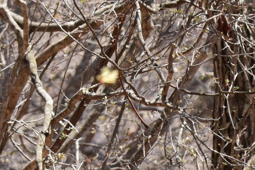 f0348480_17254979.jpg