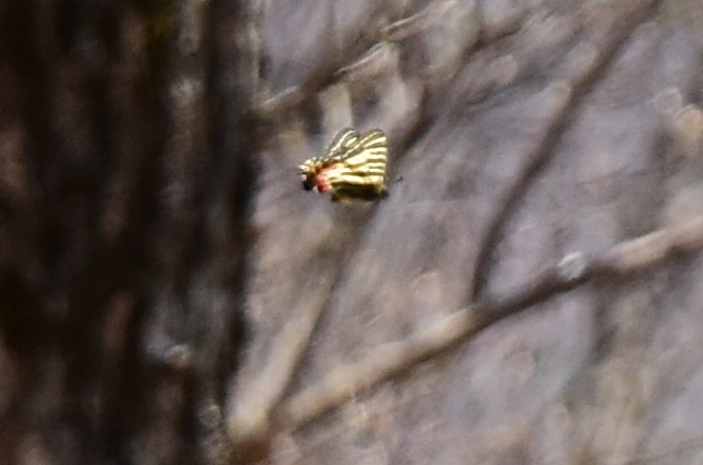 f0348480_17301977.jpg