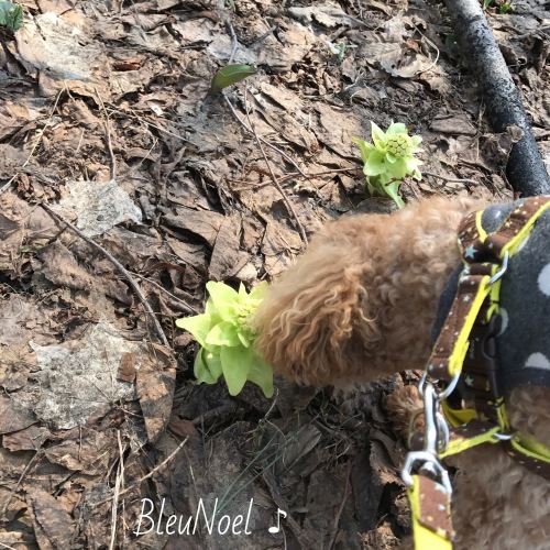 d0343781_21491861.jpeg