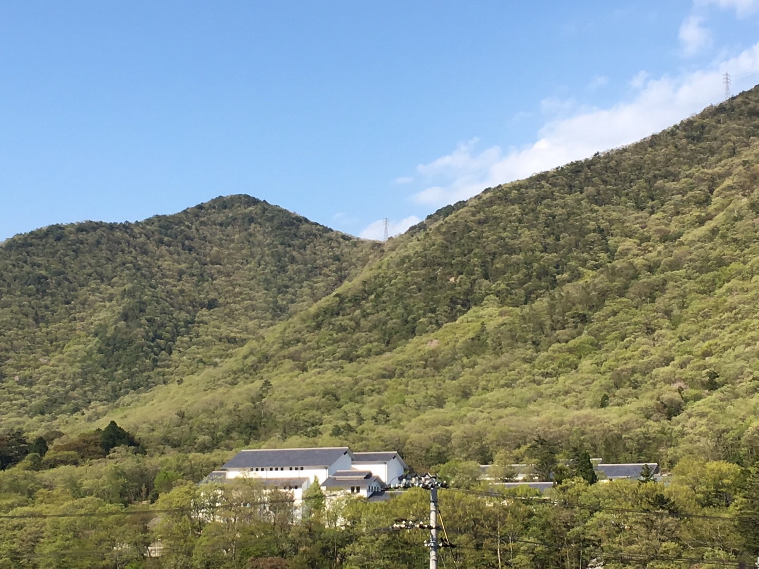 f0379286_21061514.jpeg