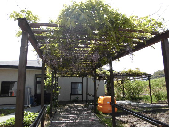 f0220087_13214981.jpg