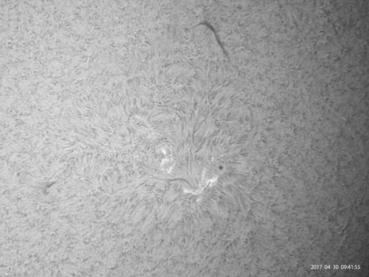 4月30日の太陽_e0174091_10501919.jpg