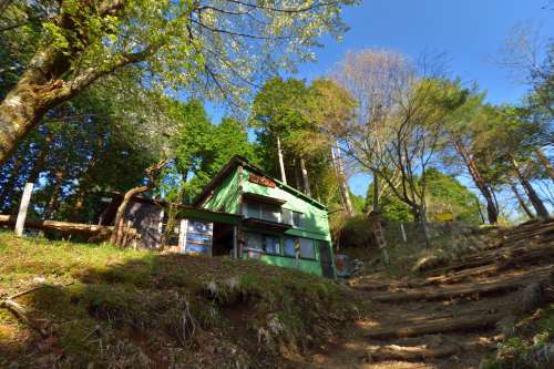 バカ尾根を往く塔ノ岳登山②奴がやってきた！_e0241691_19553715.jpg