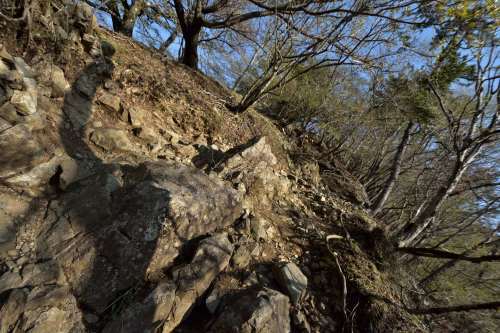 バカ尾根を往く塔ノ岳登山②奴がやってきた！_e0241691_19573779.jpg