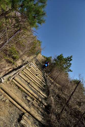 バカ尾根を往く塔ノ岳登山②奴がやってきた！_e0241691_20003081.jpg