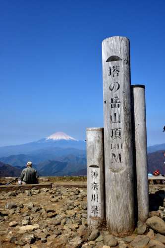 バカ尾根を往く塔ノ岳登山②奴がやってきた！_e0241691_20032611.jpg