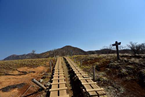 バカ尾根を往く塔ノ岳登山②奴がやってきた！_e0241691_20162310.jpg