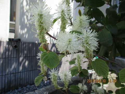 b0185592_12103687.jpg