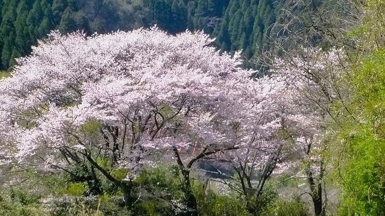 e0176993_06130961.jpg