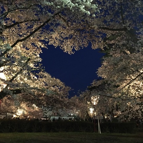 すぐそばにある幸せ_a0134394_07360994.jpg