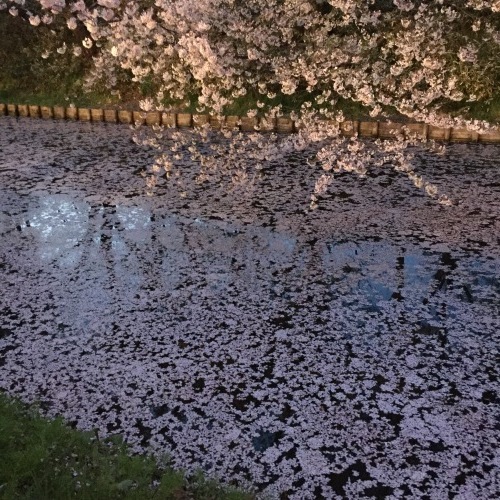 すぐそばにある幸せ_a0134394_07403754.jpg