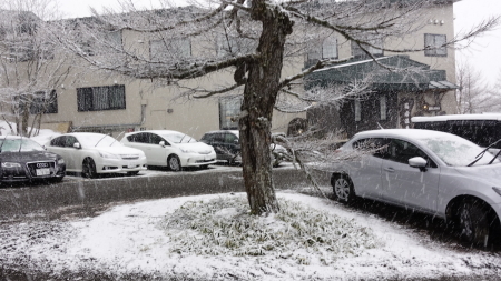 寒気で雪降り_e0120896_07112492.jpg