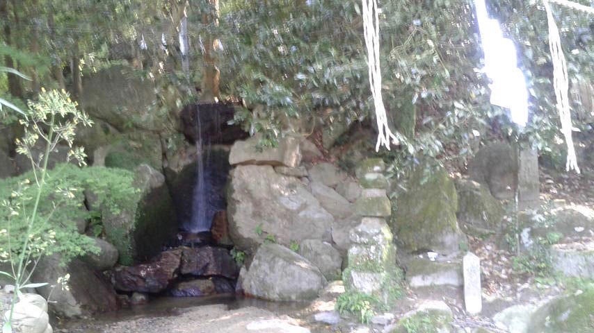 武蔵寺の〝藤〟_d0016397_22443868.jpg