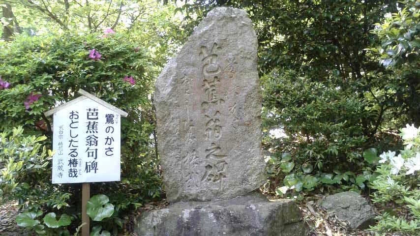 武蔵寺の〝藤〟_d0016397_22483970.jpg