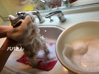 f0372998_21481975.jpg