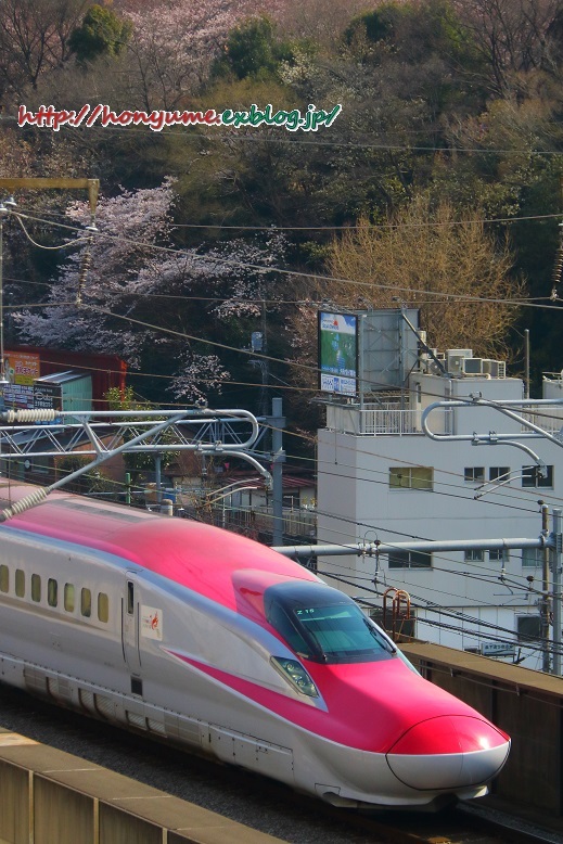 04/03 桜色を探して2017「前編」 ～その3～ _f0237201_00335704.jpg