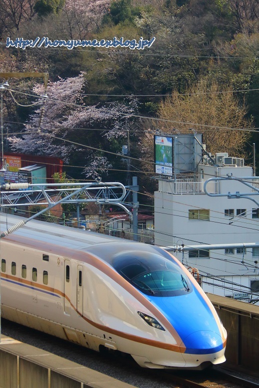 04/03 桜色を探して2017「前編」 ～その3～ _f0237201_00405142.jpg