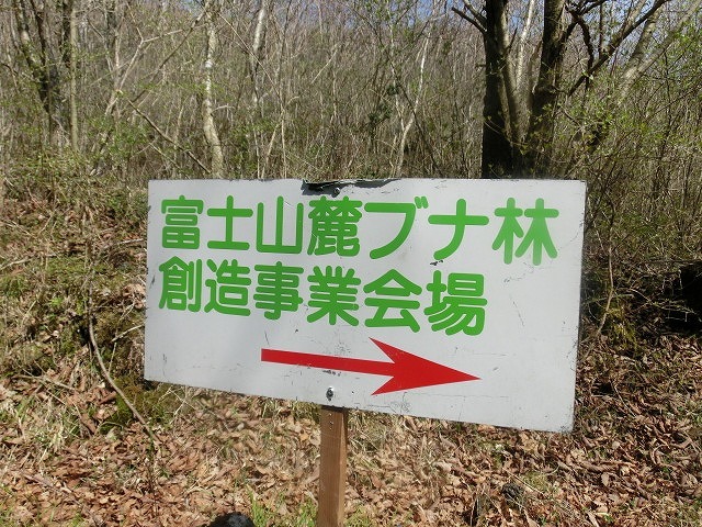 いい汗をかいた! 3年振りに参加した「第24回富士山麓ブナ林創造事業」_f0141310_08110484.jpg