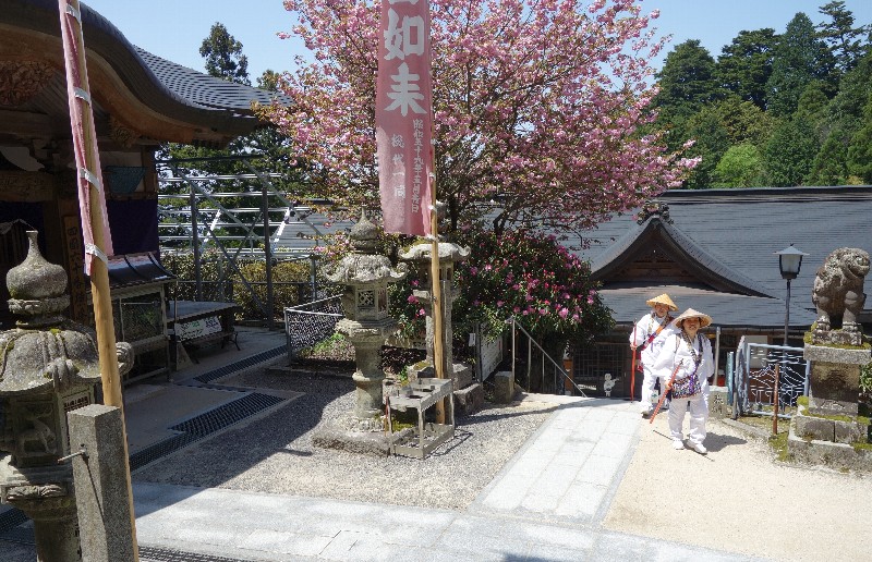 ５月１日(mon) 晴れ ／ 60番札所・横峰寺..へんろころがし.._a0059311_21283337.jpg