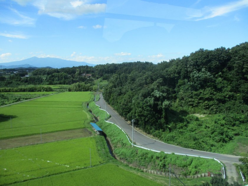 e0027711_06254434.jpg