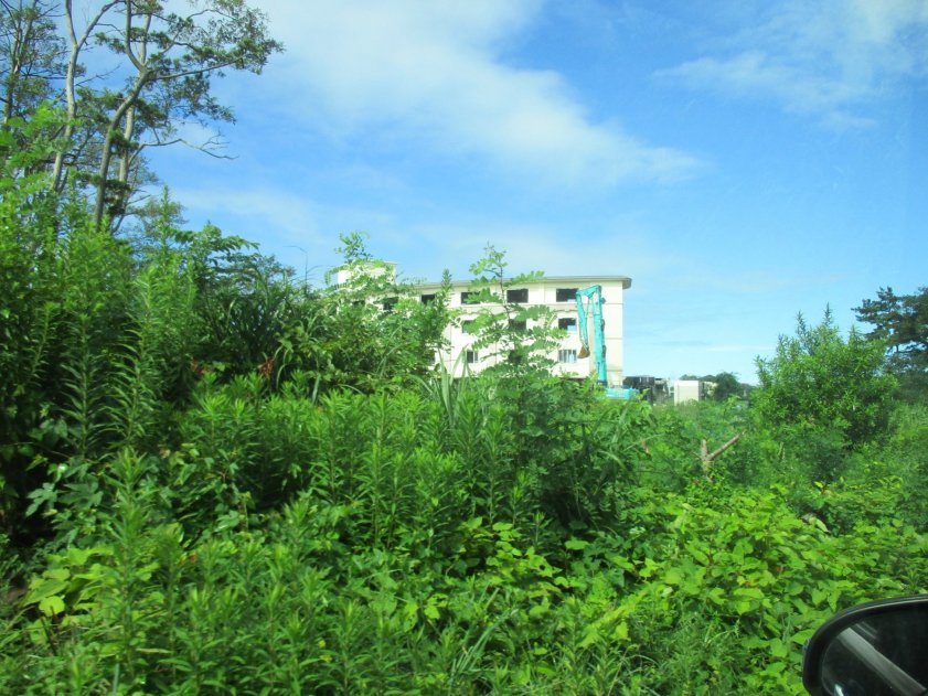 e0027711_09114419.jpg