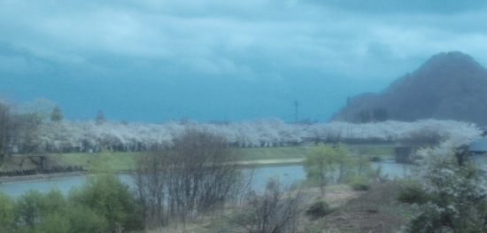 東北桜旅 〜秋田篇〜_f0197215_09474797.jpg