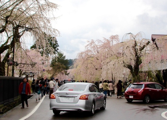 東北桜旅 〜秋田篇〜_f0197215_09480628.jpg