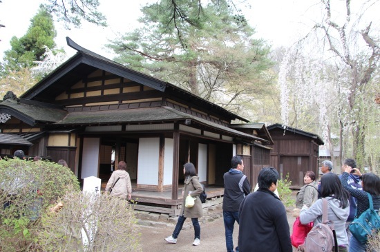 東北桜旅 〜秋田篇〜_f0197215_09562791.jpg