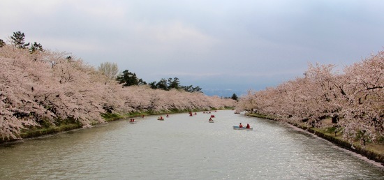 東北桜旅 〜青森篇〜_f0197215_13123994.jpg