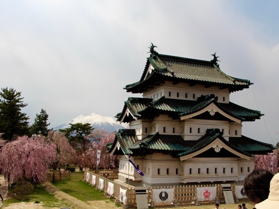 東北桜旅 〜青森篇〜_f0197215_13130909.jpg