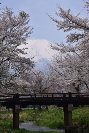 b0199522_14590539.jpg