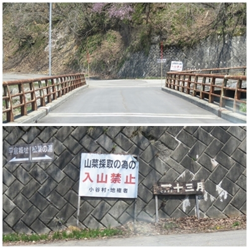 c0013922_08434540.jpg