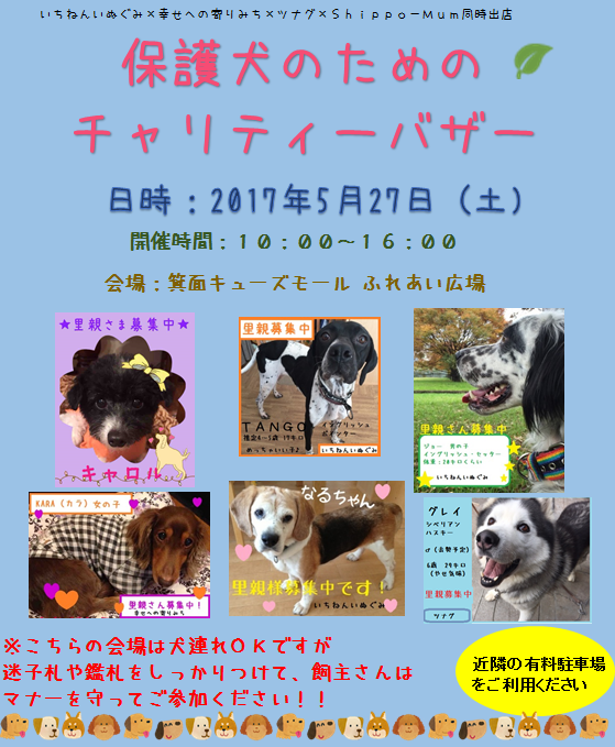f0343323_09071572.png