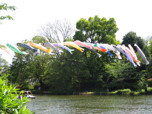 鯉が舞う・西荻散歩_e0257524_157191.jpg