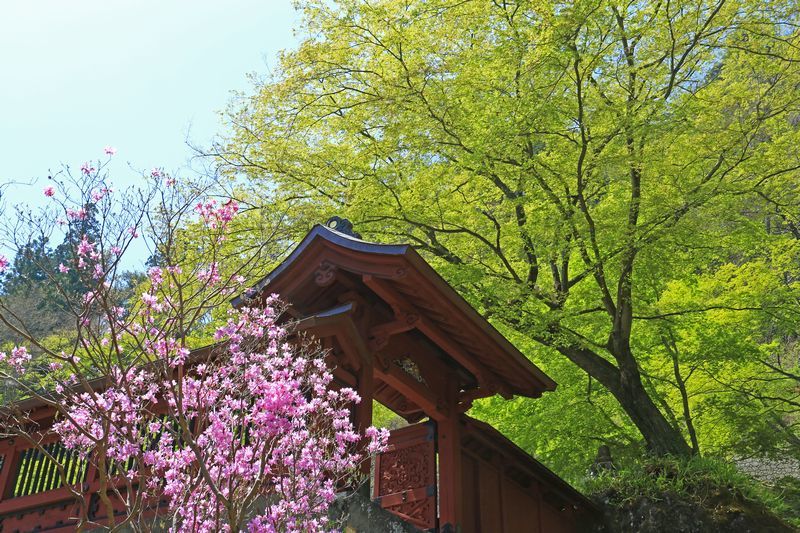 c0104227_22442883.jpg