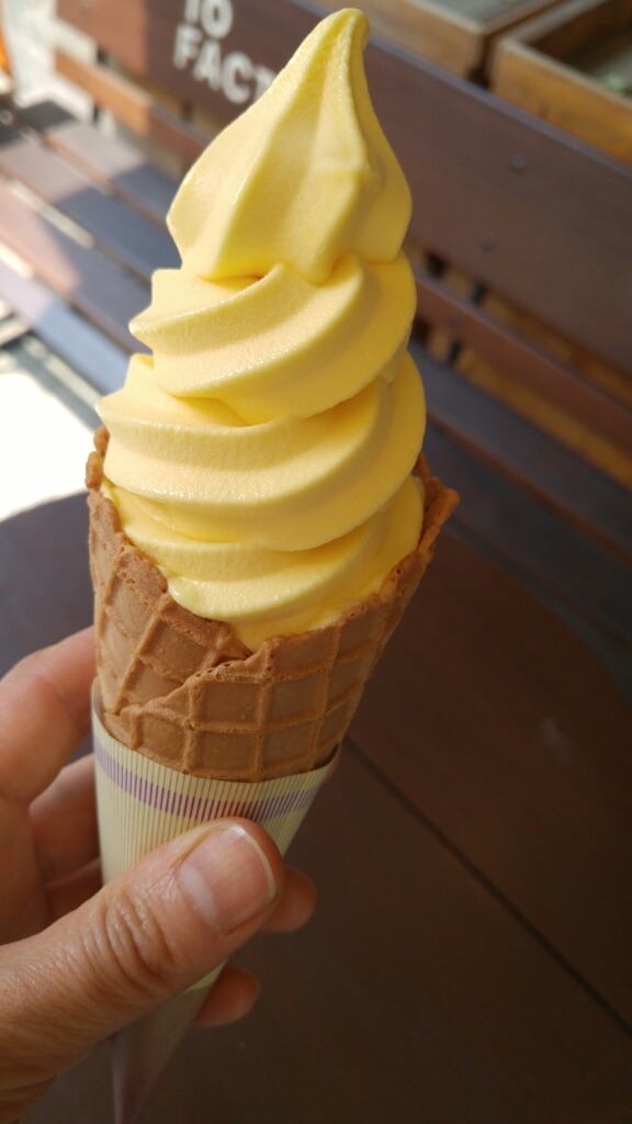 アイスクリーム大好き 10factory みかんソフトクリーム 食品ロス削減料理研究家ブログ行長万里 日本全国 美味しい話