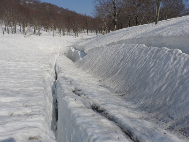 やっと山頂まで行けました(4/30)_f0118332_01263680.jpg