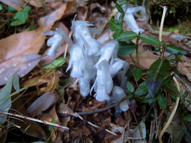 e0272335_51278.jpg