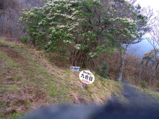 e0272335_53248.jpg