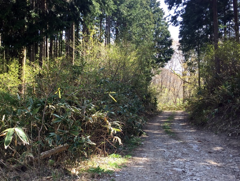 b0057140_17105932.jpg
