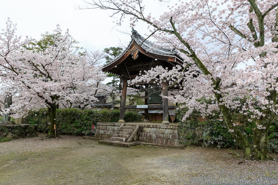 京のさくら2017　4月9日桜めぐり　後編_b0325840_23523890.jpg