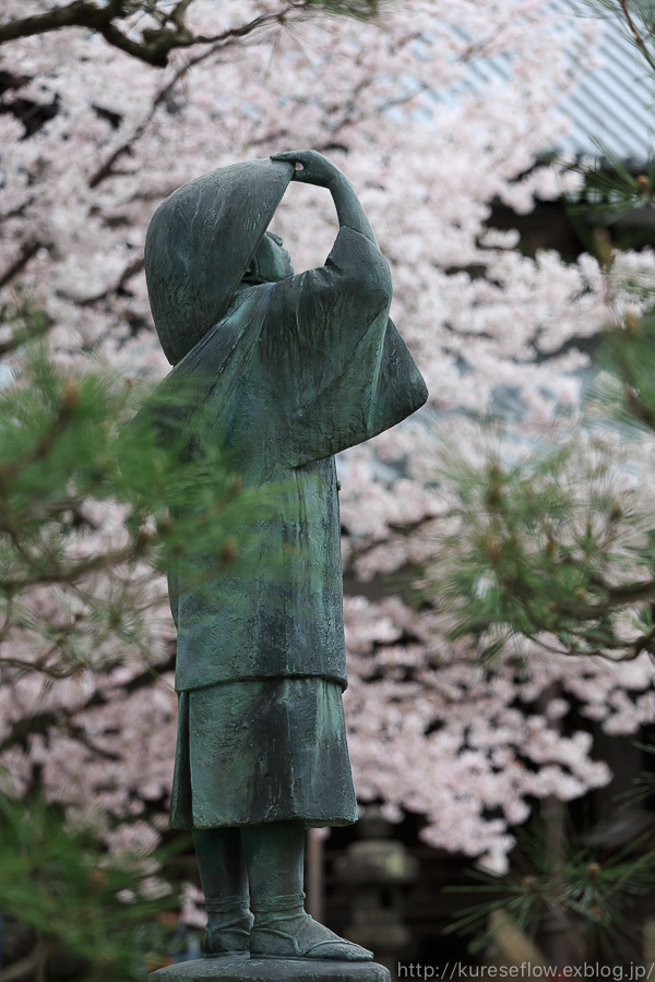 京のさくら2017　4月9日桜めぐり　後編_b0325840_23544500.jpg