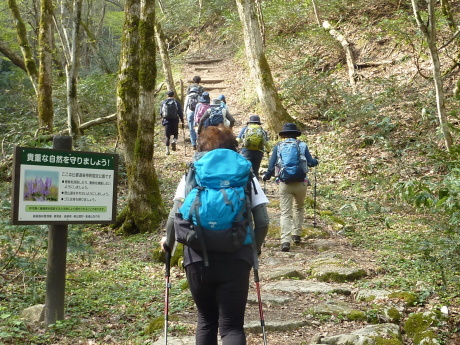 カタクリと美肌の湯『奥出雲町船通山』_c0218841_11114081.jpg