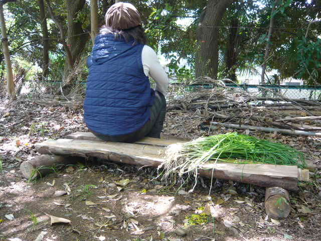 a0099154_10542248.jpg