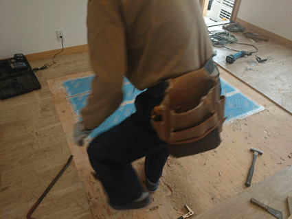 b0129758_114977.gif