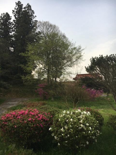 f0363168_06200685.jpg
