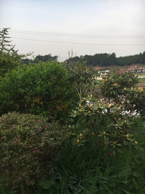 f0363168_06202290.jpg