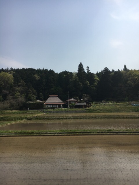 f0363168_10073198.jpg