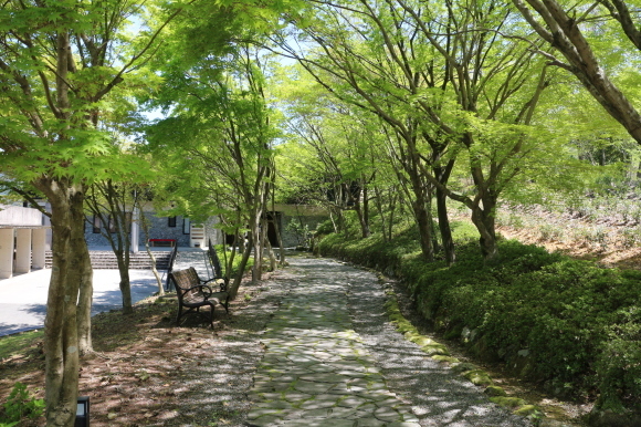 b0224178_06283097.jpg
